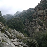 Photo de france - La randonnée du Mont Caroux